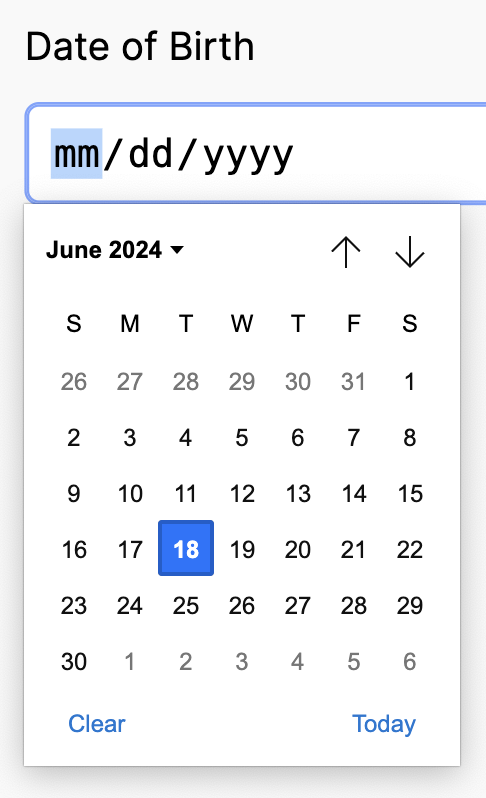 Setting up date-time fields screenshot 2